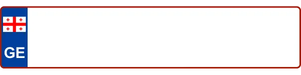 Georgia license plate visualization