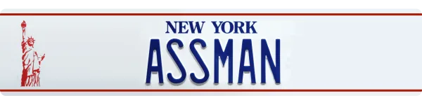 Seinfeld license plate visualization