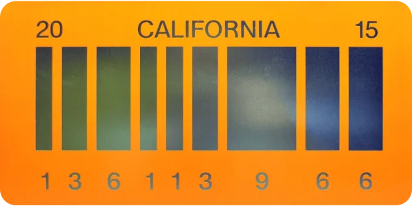 Back to the Future Part II license plate visualization