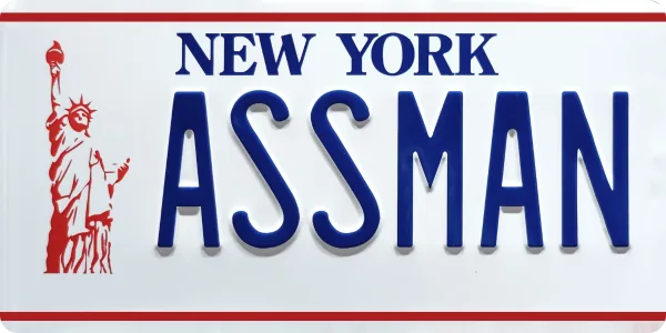 Seinfeld license plate visualization