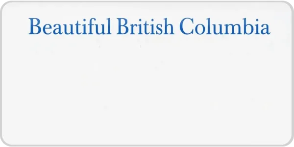 British Columbia license plate visualization