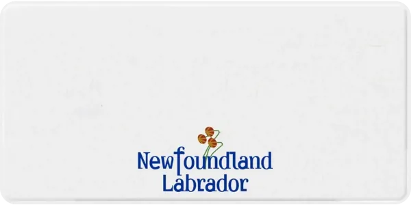 Newfoundland and Labrador license plate visualization