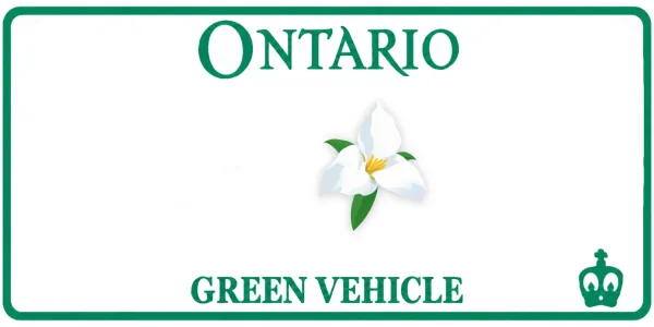 Ontario license plate visualization