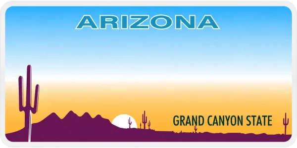 Arizona license plate visualization