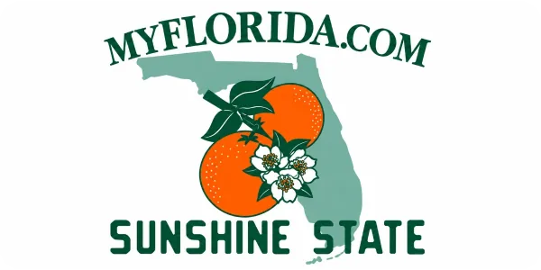 Florida license plate visualization