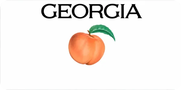 Georgia license plate visualization