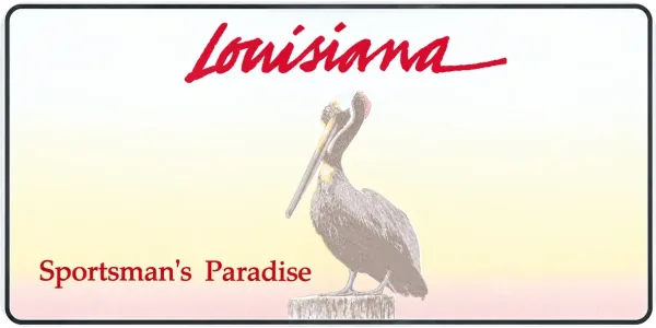 Louisiana license plate visualization