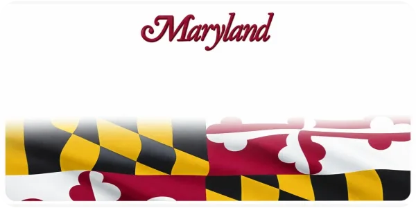 Maryland license plate visualization