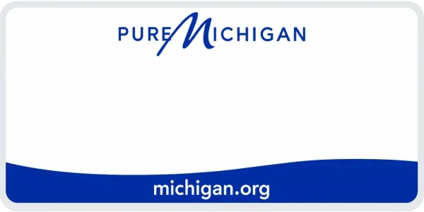 Michigan license plate visualization