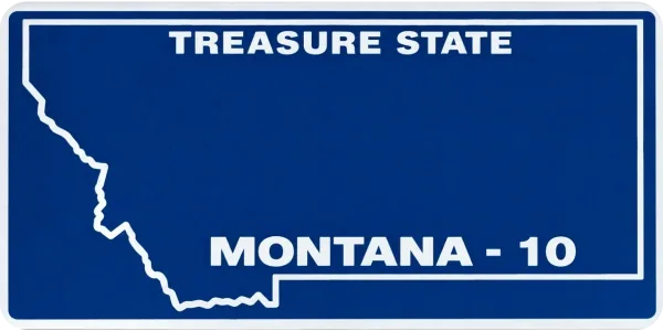 Montana license plate visualization
