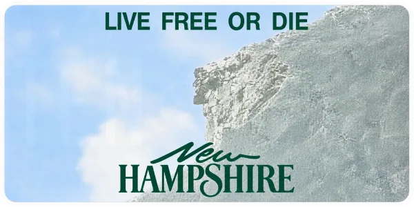 New Hampshire license plate visualization