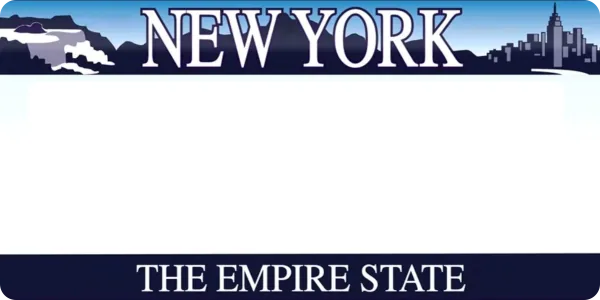 New York (2001) license plate visualization
