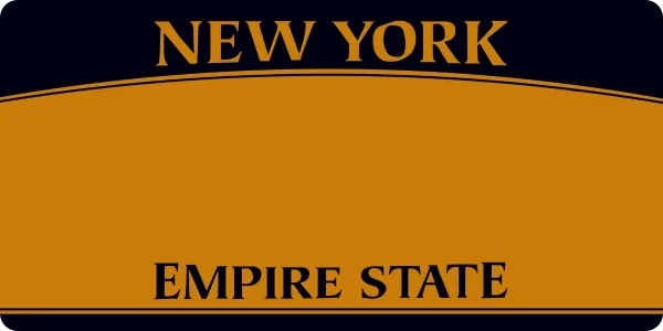 New York (2010) license plate visualization
