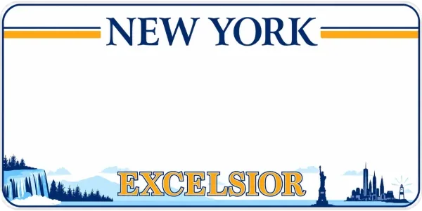 New York license plate visualization