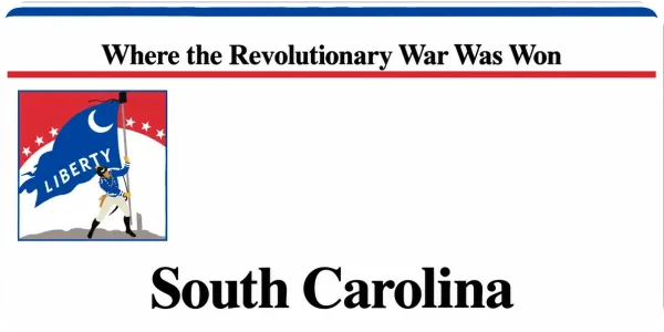 South Carolina license plate visualization