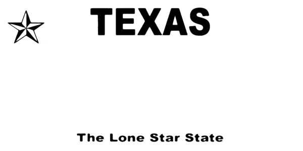 Texas license plate visualization