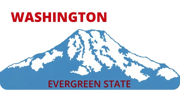 Washington license plate visualization