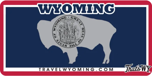Wyoming license plate visualization