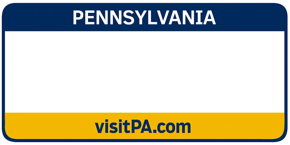 Pennsylvania 2006 license plate visualization