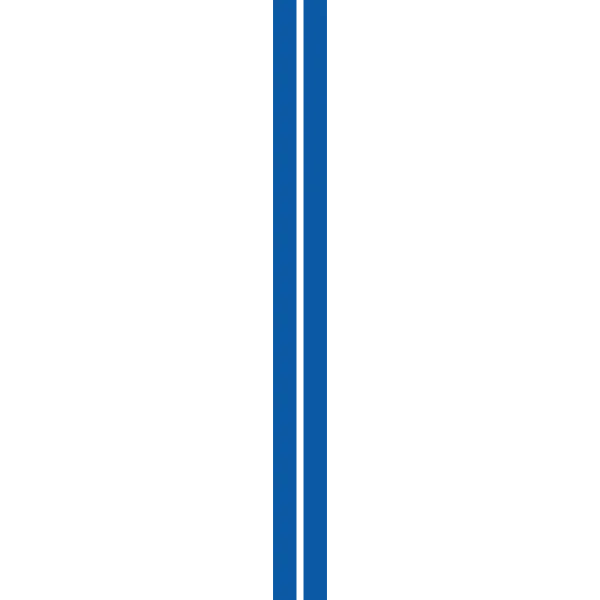Dodge Charger Blue Stripes wrap template