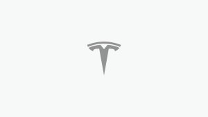 Tesla Performance Mode Easter Egg