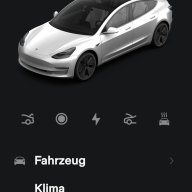 DirkOnTesla