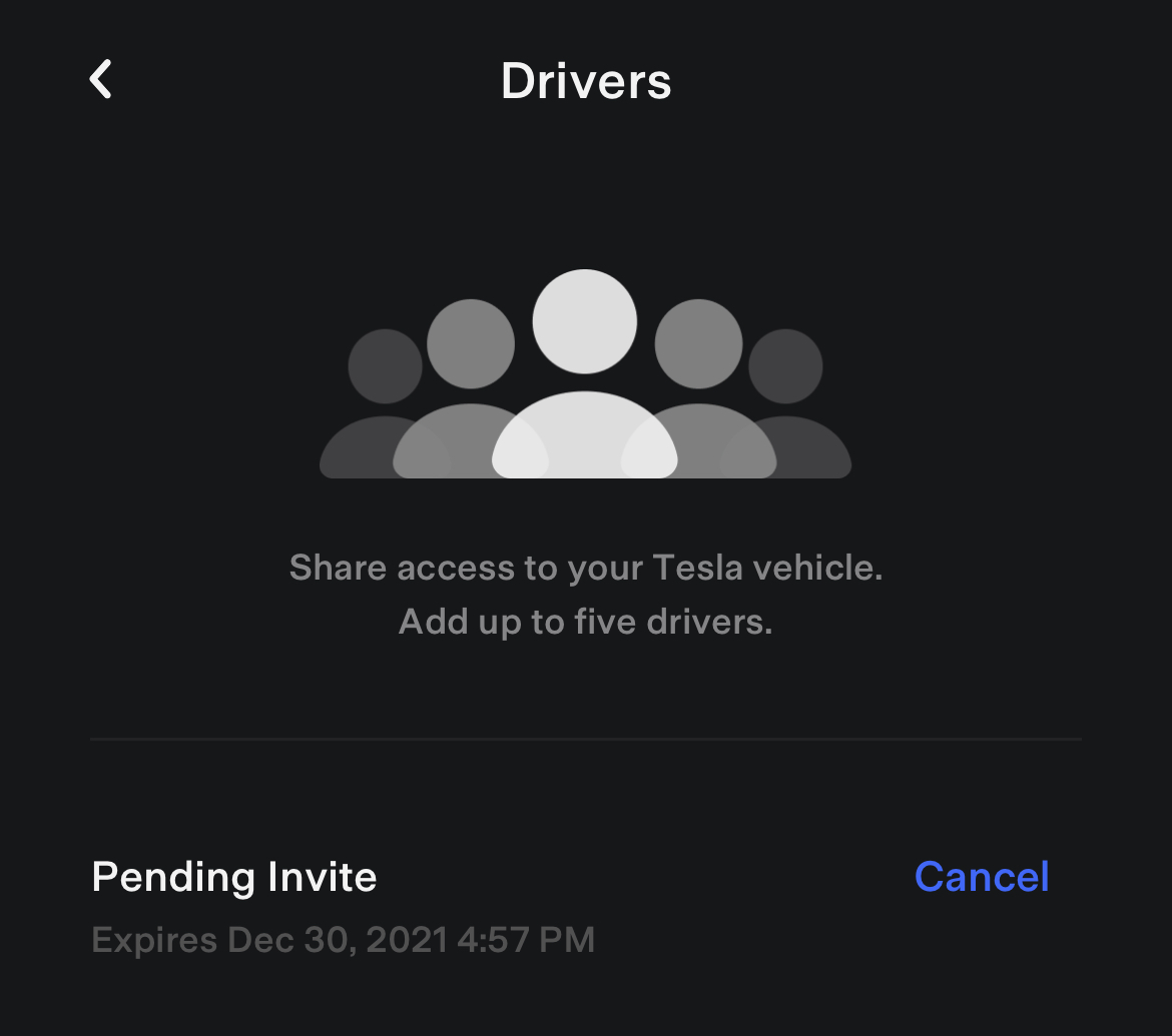 You can now grant temporary access to your Tesla