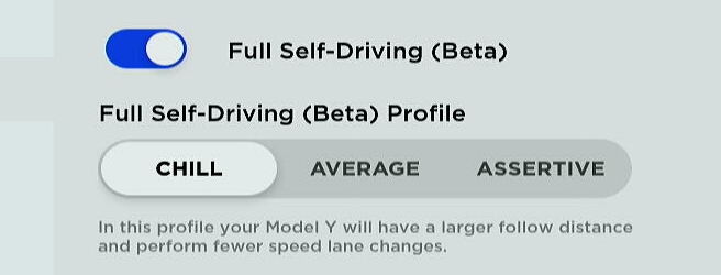 Tesla's Chill FSD Profile