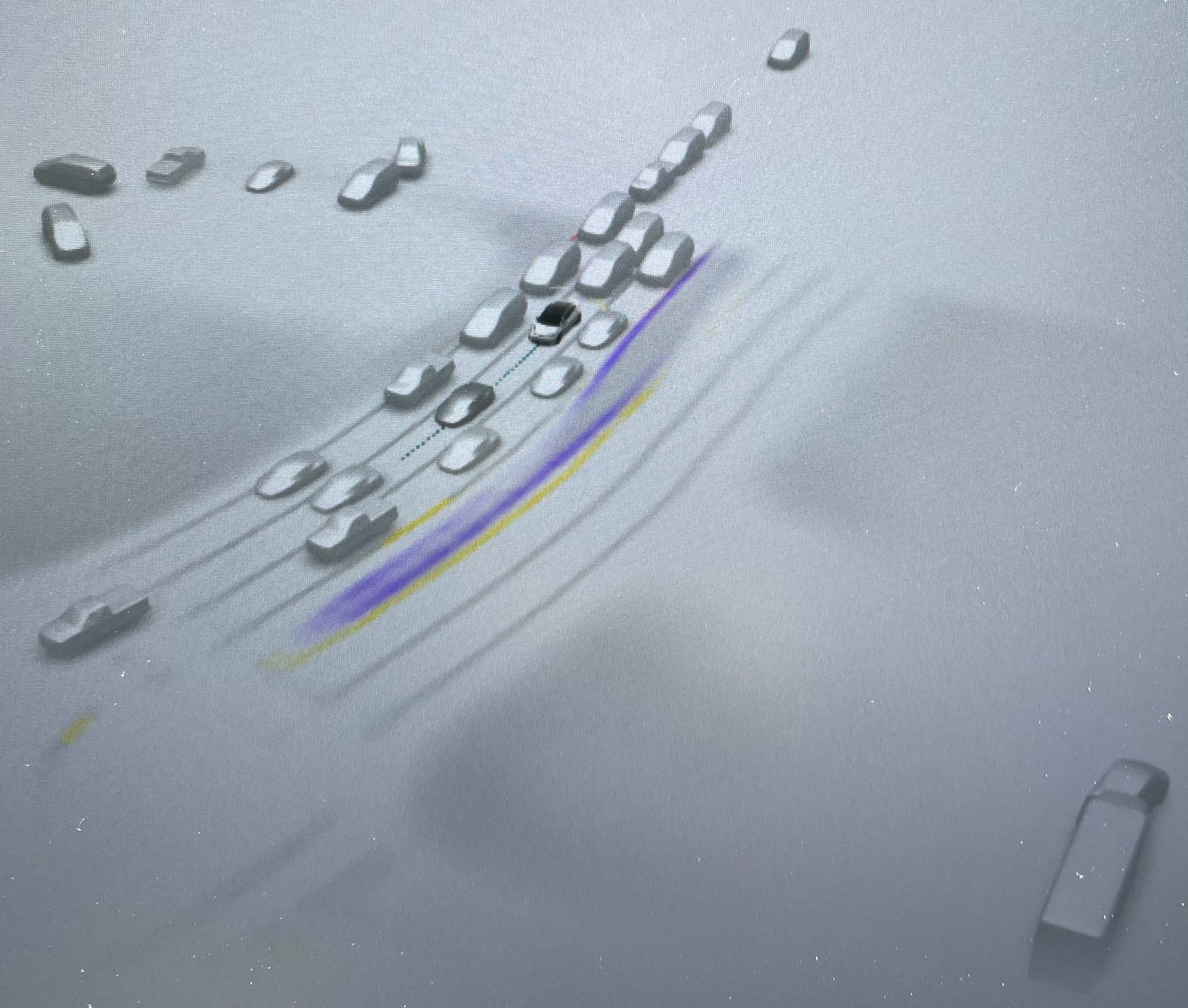 Tesla FSD Mind of Car visualization