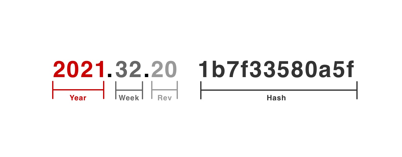 How Tesla numbers their versions