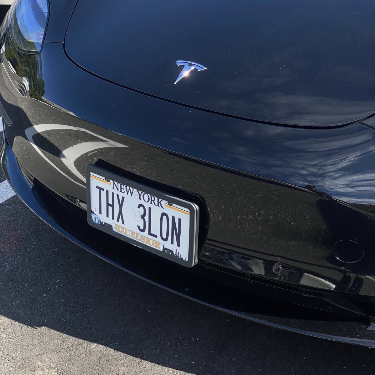 funny Tesla license plate