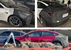 Mysterious Covered Up Model 3 Raises Questions