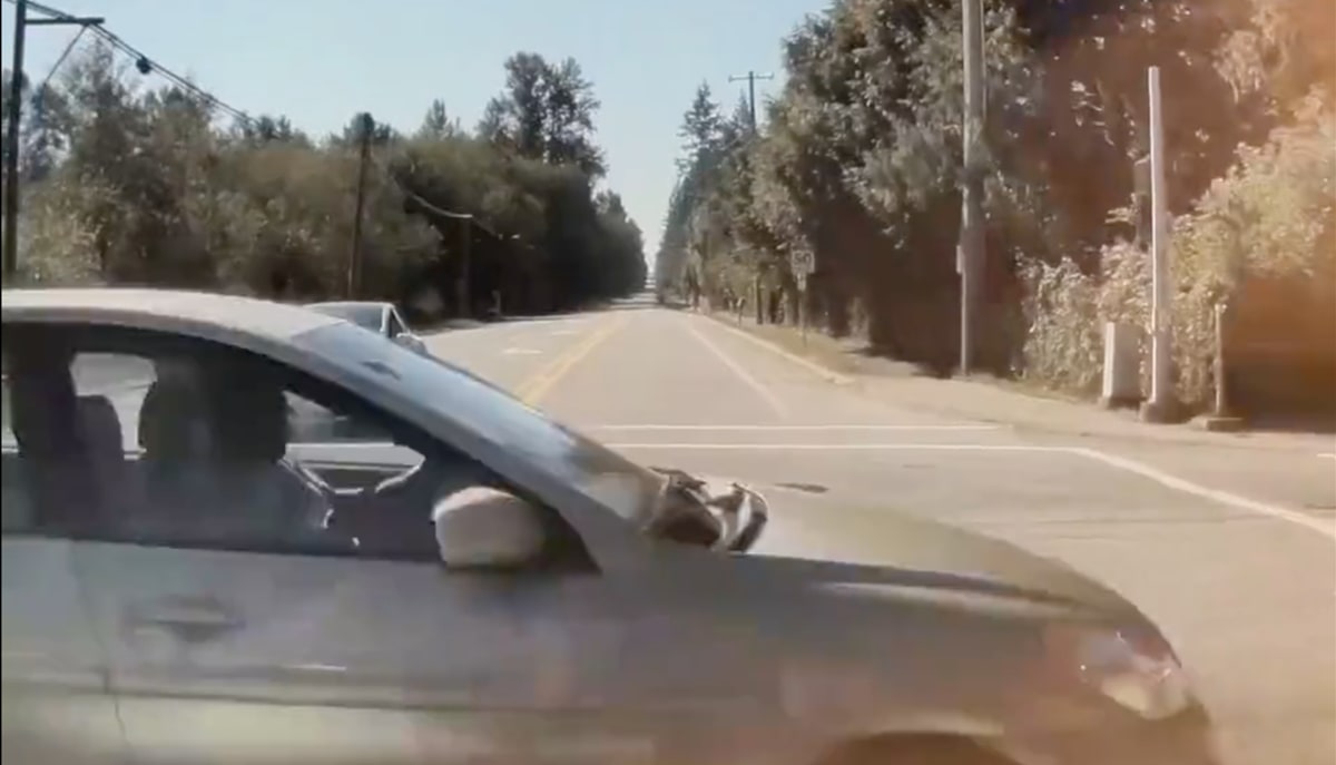 Tesla's FSD and AEB systems prevent a possibly deadly accident