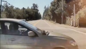 Tesla's FSD Feature Acts as Guardian Angel in Near-Miss Incident [Video]