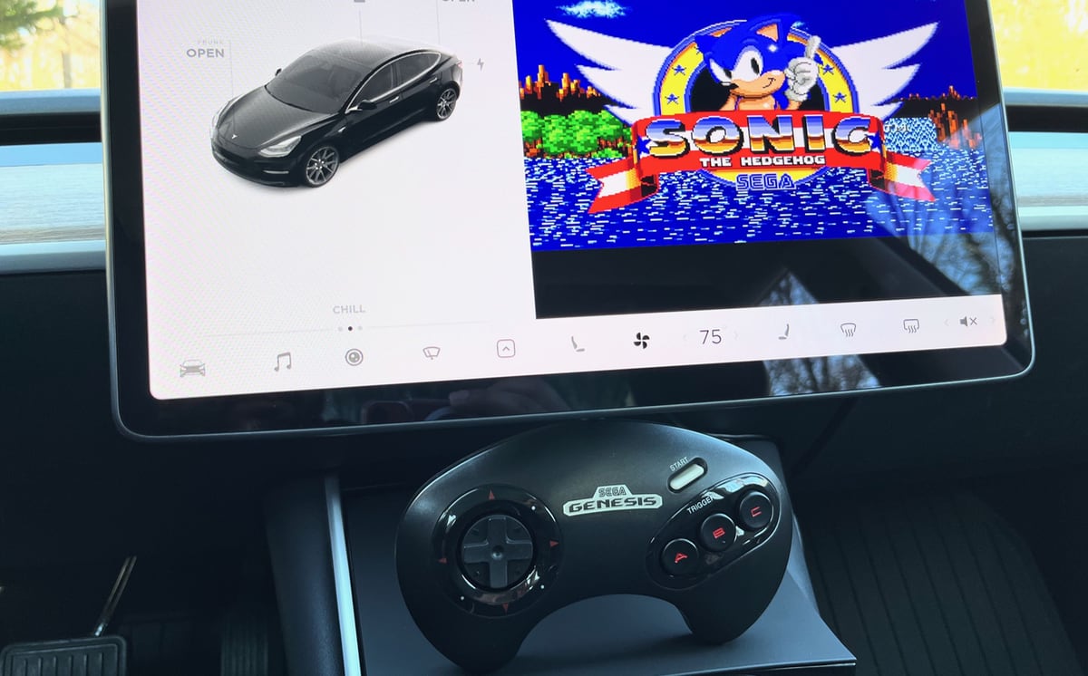 Sonic el erizo en un Tesla