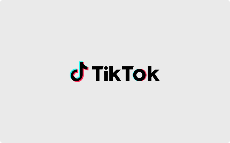 Tesla TikTok feature in update 2021.44.30.13