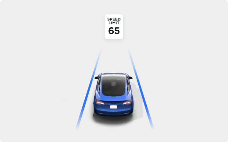 Tesla Tesla Vision Update feature in update 2022.24.8