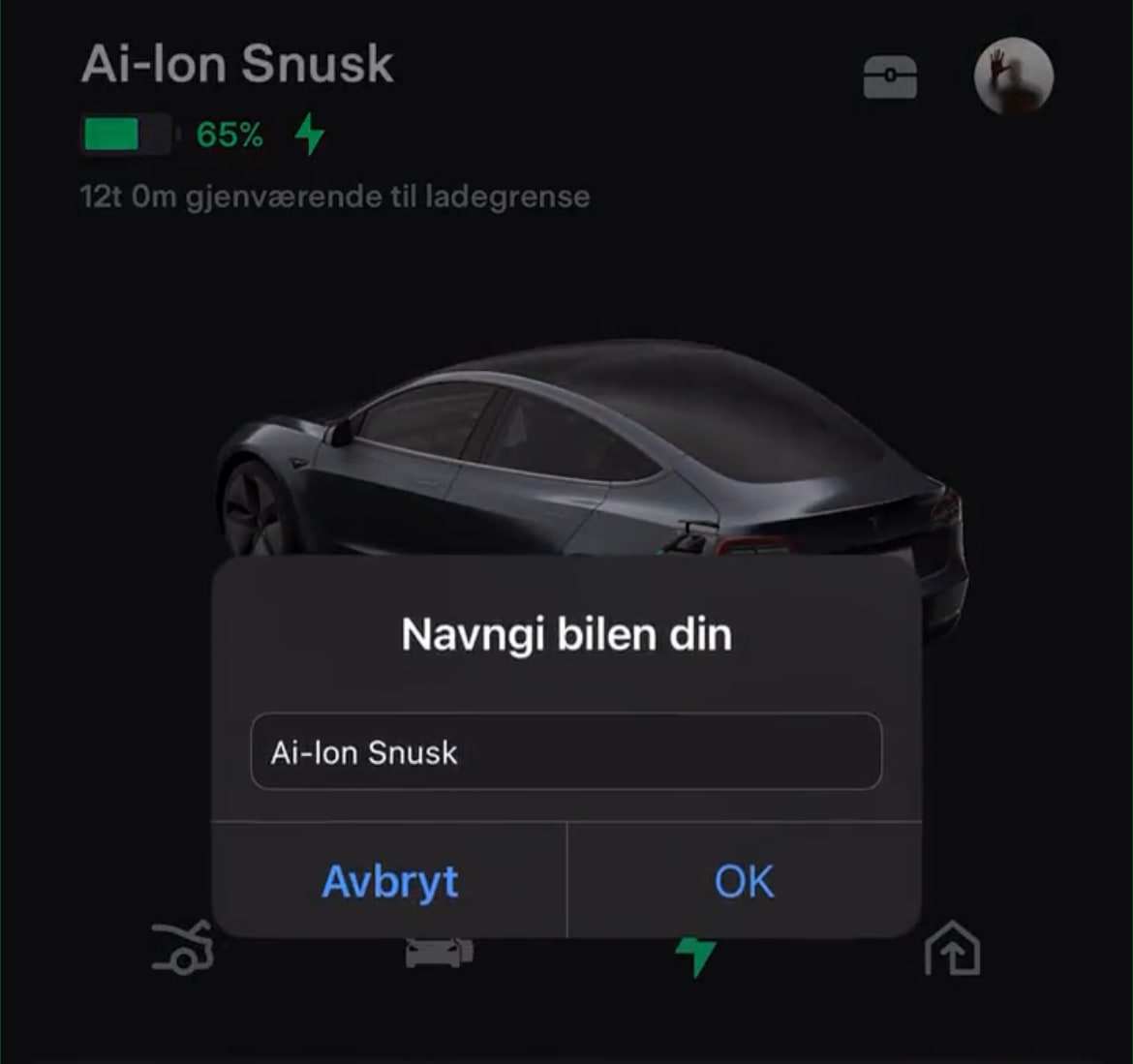 Tesla Rename Vehicle in App feature in update 4.20.69