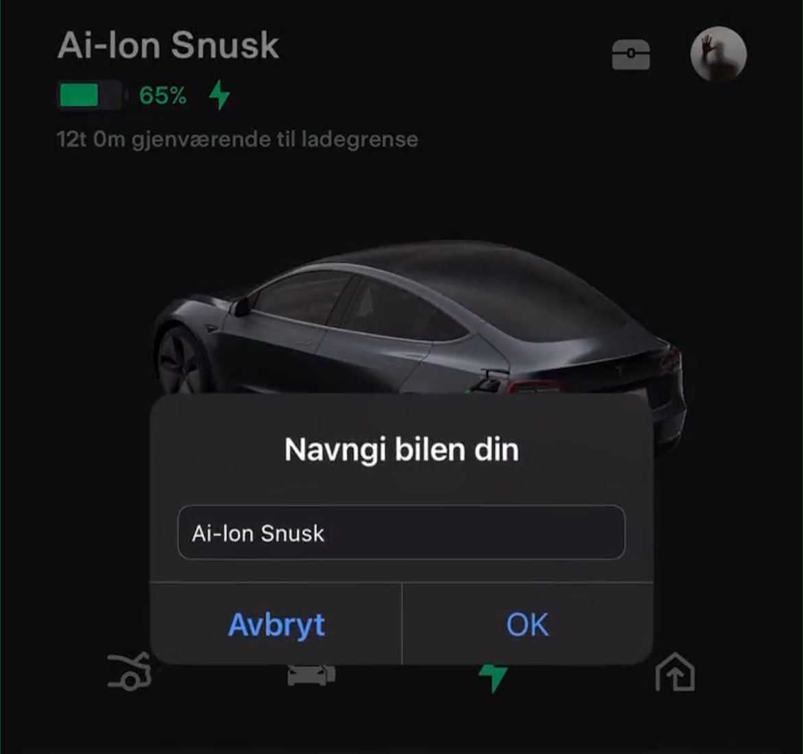 Tesla Rename Vehicle in App feature in update 2023.27.6