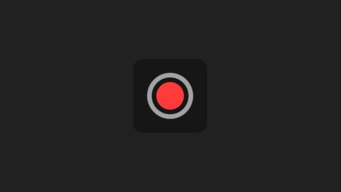 Tesla More Cameras in Live Camera View feature in update 2023.44.25