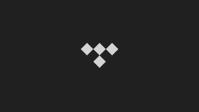 Tesla Shuffle Play in TIDAL feature in update 2023.44.25.1
