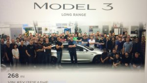 Tesla Model 3 Team Photo and Silhouette Easter Egg