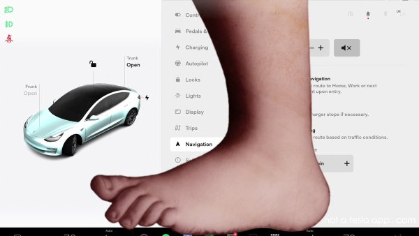 Tesla Monty Python Easter Egg
