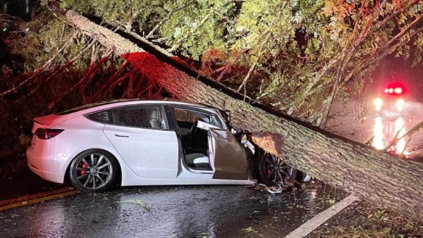 Tesla Model 3 Exhibits Impressive Safety in Tree Crushing Video