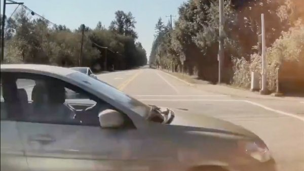 Tesla's FSD Feature Acts as Guardian Angel in Near-Miss Incident [Video]
