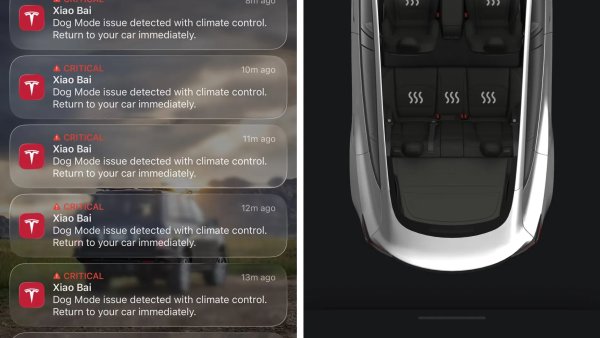 Tesla’s Dog Mode Critical Alerts Save a Pet