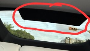 Tesla’s ‘Project Halo’ Revealed: The Upgraded Model Ys Behind the Robotaxi Network