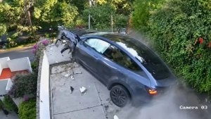 Tesla Driver in Mexico Makes His Model Y Fly [VIDEO]