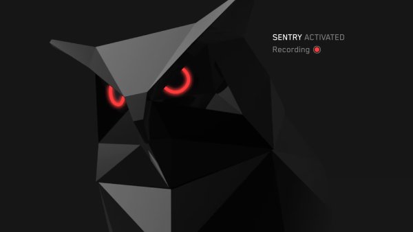 Tesla Cybertruck B-Pillar Camera Recording Coming Soon to Sentry Mode