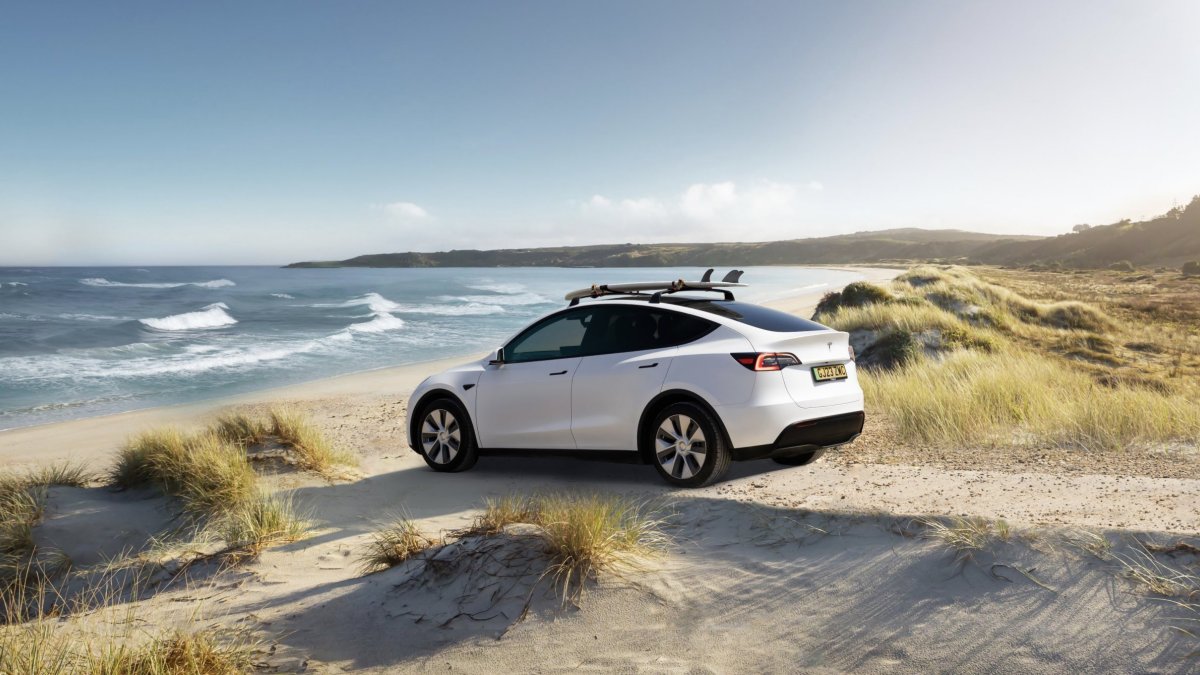 Model Y Advertising